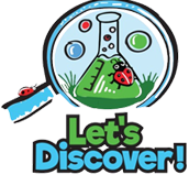 LET'S DISCOVER